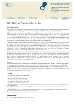 Informationsblatt IGVH