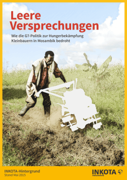 INKOTA Hintergrund - Leere Versprechungen - INKOTA