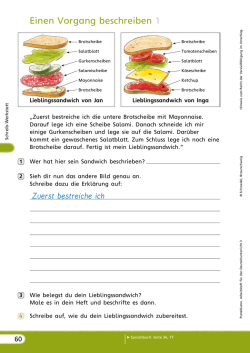 Einen Vorgang beschreiben 1