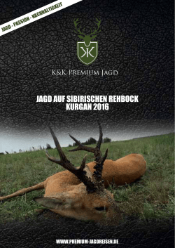 Sib. Rehbock Kurgan - Jagdreisen - K&K