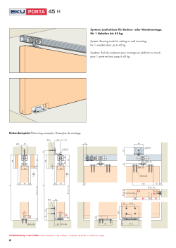 System: Laufschiene für Decken- oder Wandmontage, für 1 Holztüre