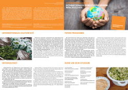international office internationales semesterProgramm Wise 2015