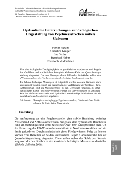 Hydraulische Untersuchungen zur &ouml;kologischen
