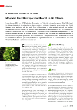 Mögliche Eintrittswege von Chlorat in die Pflanze