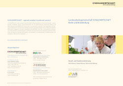 PDF herunterladen (link is external)