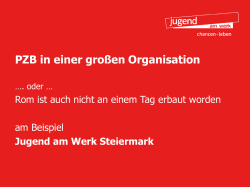 E / Personen-zentrierte Planung in einer gro&szlig;en Organisation