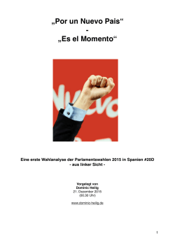 Wahlanalyse Spanien #20D_pdf