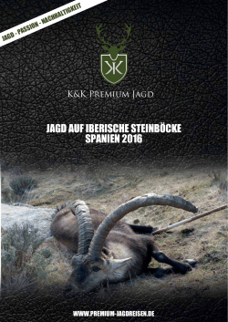 Steinbock Spanien - Jagdreisen - K&K