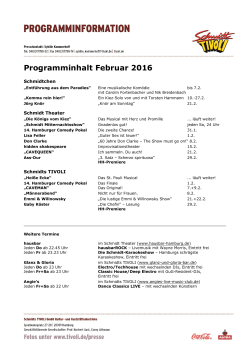 Schmidt Programm Feb 2016