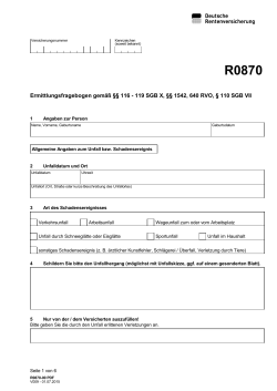 R0870 Internetformular Deutsche Rentenversicherung