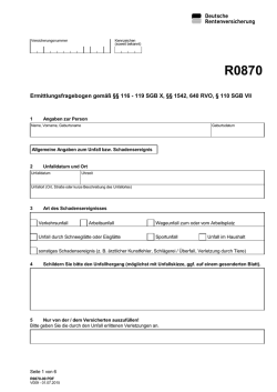 R0870 Internetformular Deutsche Rentenversicherung