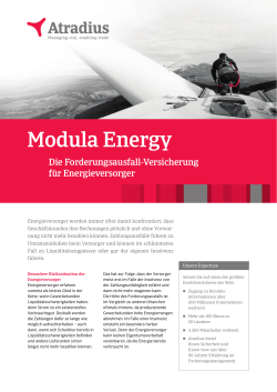 Produktblatt Modula Energy