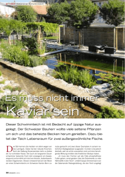 Ein besonderer Schwimmteich - Naturpools 1/2014