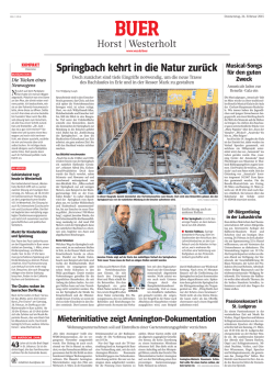 Springbach kehrt in die Natur zurück
