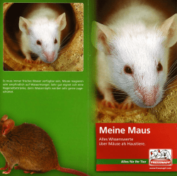 Wissenswertes über Mäuse als Haustier - Tierzentrum