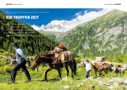 EIN TROPFEN ZEIT - auf dem Simplon