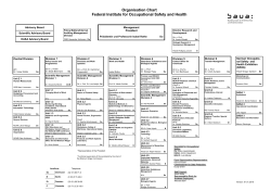 Organisation Chart of the Federal Institute for Occupational Safety
