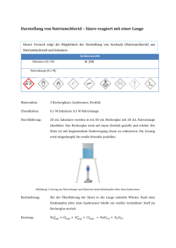 Darstellung von Natriumchlorid &ndash; S&auml;ure reagiert mit einer Lauge