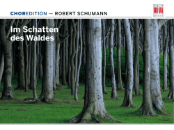 Im Schatten des Waldes
