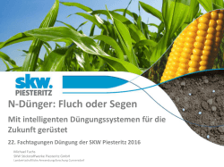 Fluch oder Segen - SKW Stickstoffwerke Piesteritz GmbH