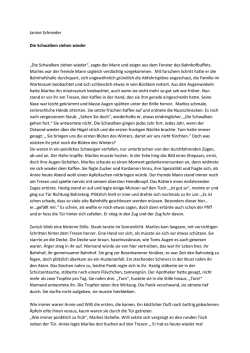 Janine Schneider Die Schwalben ziehen wieder &bdquo;Die Schwalben