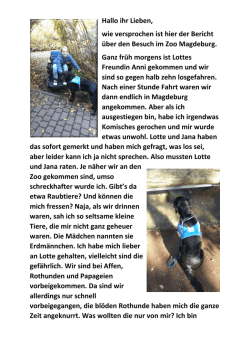 ist der 3. Erlebnisbericht von Lotte und B&auml;rti als PDF.