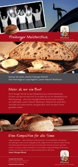 &uuml;ber den Friburger Michel erfahren Sie hier!