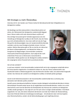 Interview als PDF