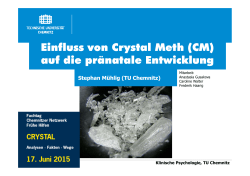 Einfluss von Crystal Meth (CM)