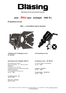 mini – Blitz-Spot dedolight 1000 Ws