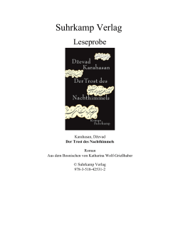 Dževad Karahasan Der Trost des Nachthimmels