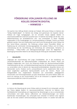 Hinweise Junior-Fellows