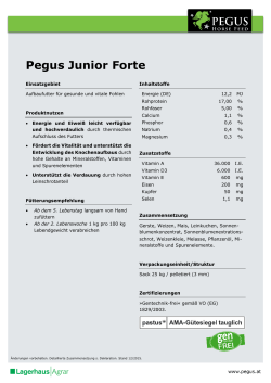 Pegus Junior Forte
