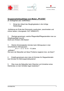 Gruppenarbeitsauftr&auml;ge zum Modul &bdquo;PFLEGE&ldquo;