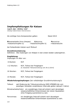 Impfempfehlungen f&uuml;r Katzen
