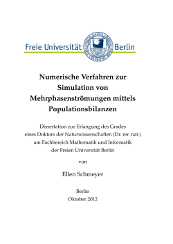 Numerische Verfahren zur Simulation von