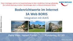 boris - AED/Sicad