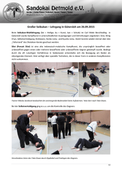 Gro&szlig;er Seibukan &ndash; Lehrgang in G&uuml;tersloh am 26.09.2015