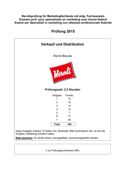 Marketingfachleute Fallstudie Verkauf und
