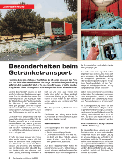 PDF BKF3_S0809 - Ladungssicherung.de