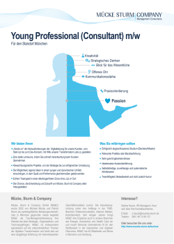 Young Professional (Consultant)