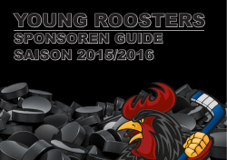 Sponsoren Guide 2015 - Young Roosters Iserlohn