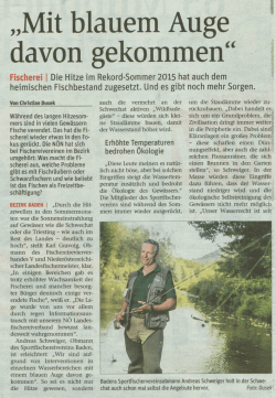 Mit blauem Auge davon gekommen