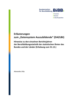 Hinweise zu den einzelnen Berichtsjahren der