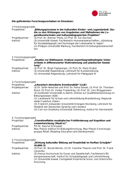 Liste der einzelnen Projekte (PDF-Datei).