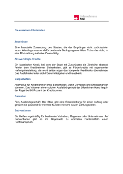 Die einzelnen Förderarten Zuschüsse Eine finanzielle Zuwendung