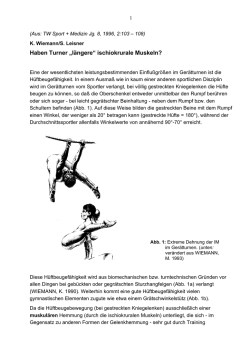 Haben Turner &bdquo;l&auml;ngere&ldquo; ischiokrurale Muskeln?