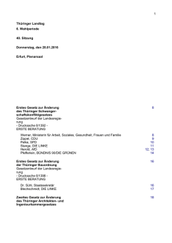 Arbeitsfassung der 40. Plenarsitzung