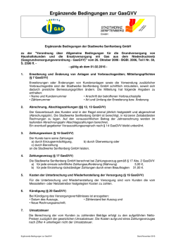 Ergänzende Bedingungen zur GasGVV
