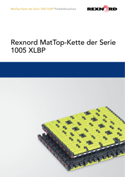 Rexnord MatTop-Kette der Serie 1005 XLBP